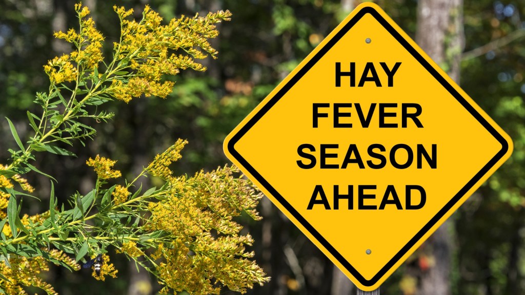 hay-fever-alergie-la-polen-uk