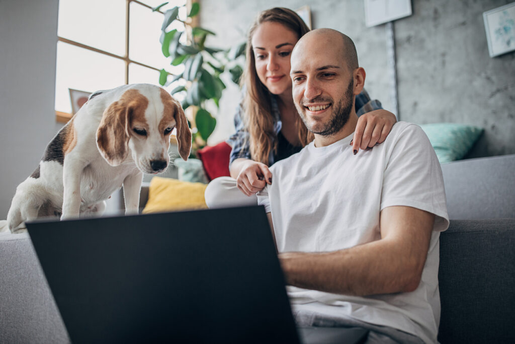 Spoko чи Profee: який краще?