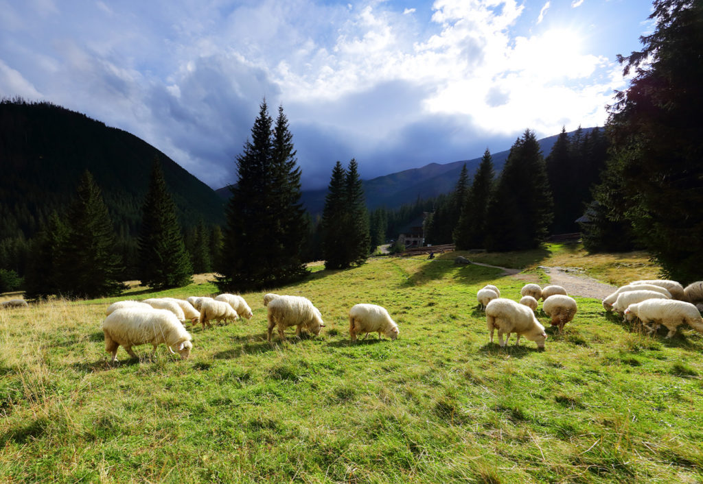Куди поїхати в Польщі на відпочинок?